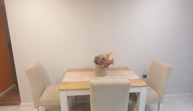 Apartment 2 bedrooms and 2 bathrooms - 1 block from downtown - 75 sq. mts.
