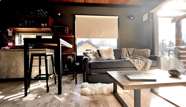 Apartment in downtown area