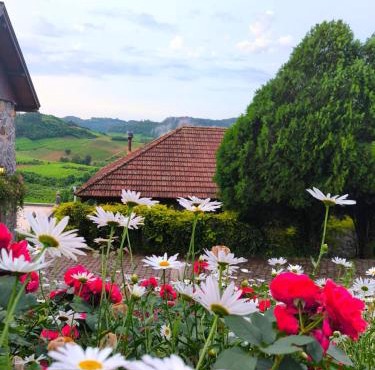 Borghetto Inn – Charm and Exclusivity in the Vale dos Vinhedos