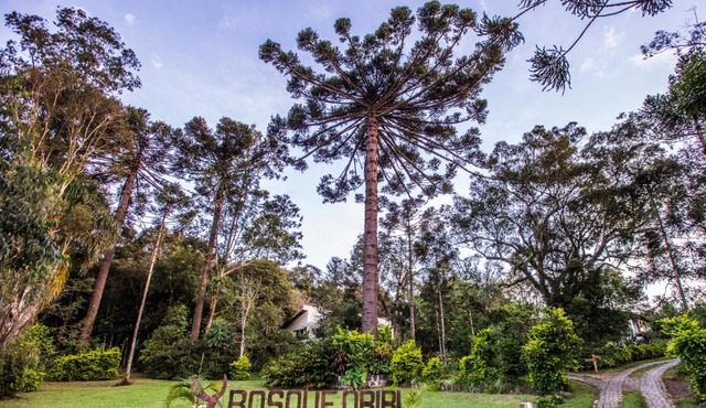 Bosque Oriri
