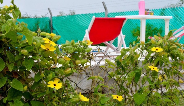 Cabañas Lo de Jose