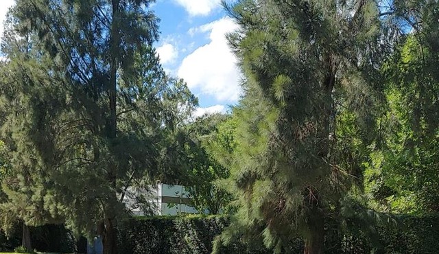 Cabañas Montoya