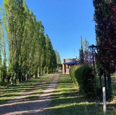 Camino al Valle