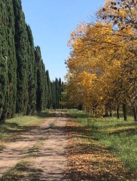 Capilla-Casa de campo