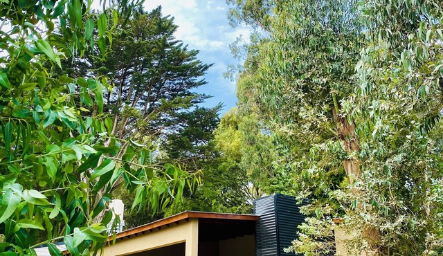 Casa Bosque al Mar. Peralta Ramos Forest Mar del Plata