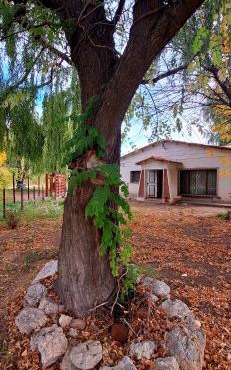 Casa de campo Alma Rural