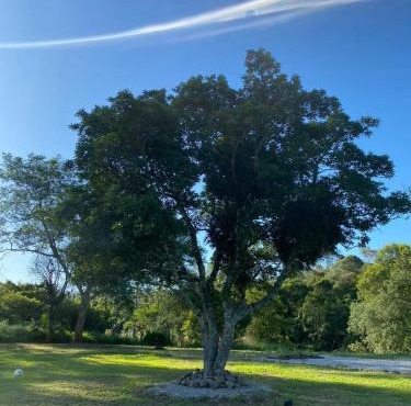 Casa de Campo Sítio Vô Jaime