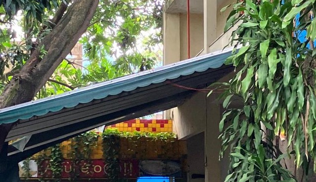 Casa de descanso
