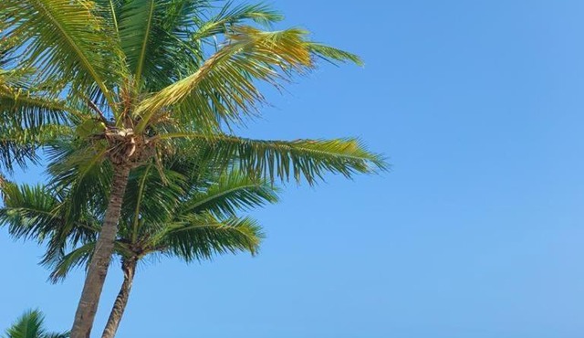 casa de praia de barra do gil