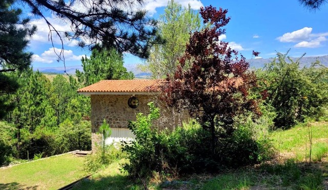Casa Desconectar