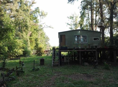 Casa isleña con bajada al río, plena naturaleza