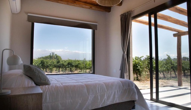 Casa Premium - Finca Rosablanca, viña y montaña
