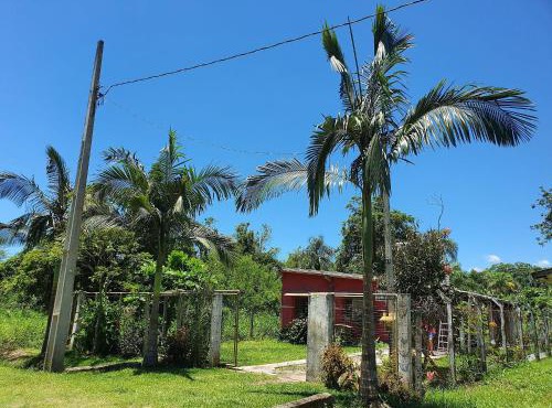 Casas agradáveis, sossego e muita natureza.