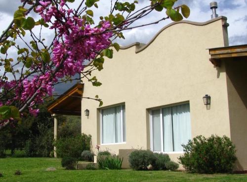Casas Tomillo Silvestre