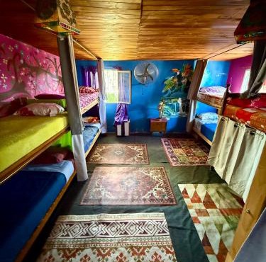 Casita del arbol Hostel