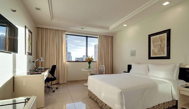 Castro's Park Hotel
