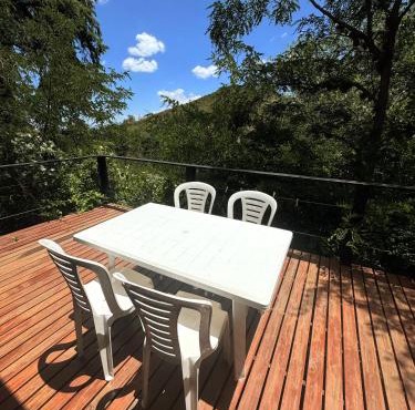 Cedro Azul