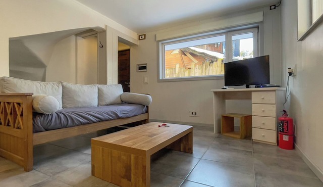 Centrally located PET friendly apartment