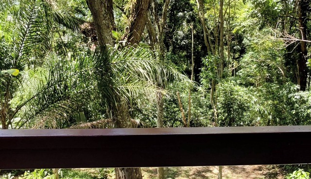 Chalé Nature na Lagoa da Conceição RM9376