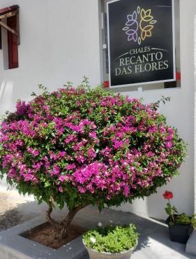 Chalés Recanto das Flores RN in Monte das Gameleiras