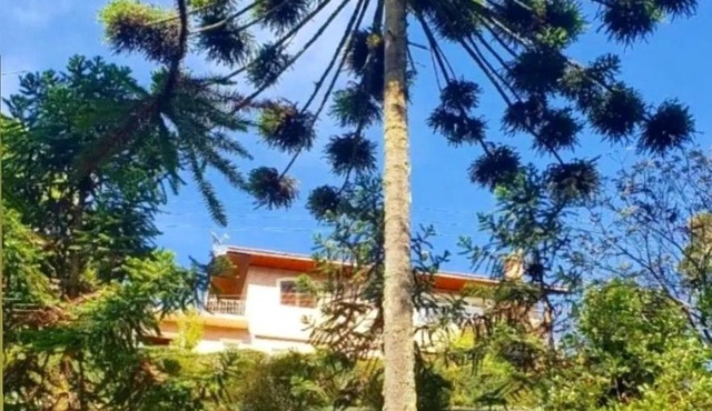 Chalé Beijo do Sol - Campos do Jordão