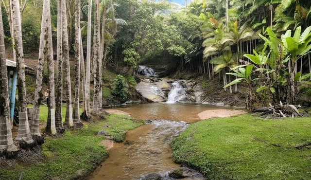 Chale com Riacho e Cachoeira Privativa Nova Trento in Pinheiral