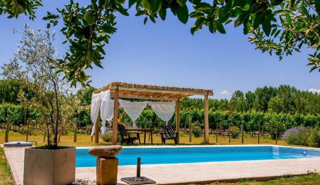 Cottage Complex - In the vineyards