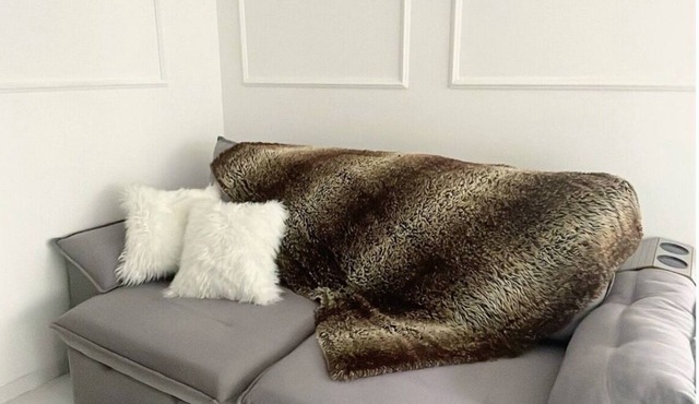 Cozy entire apartment for two people, well located with garage.