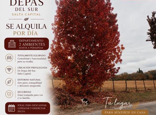 Depa del Sur