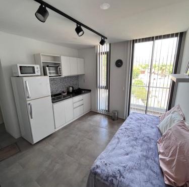Departamento en el centro - Lake Tower