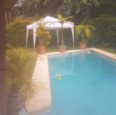 El bosque suite