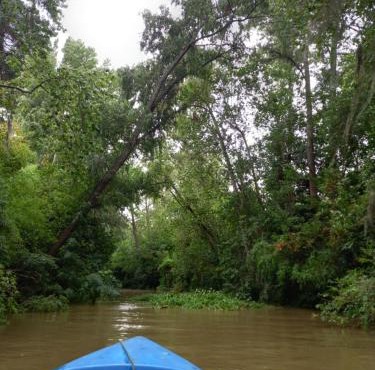 El Domo y La Petaca Delta del Tigre
