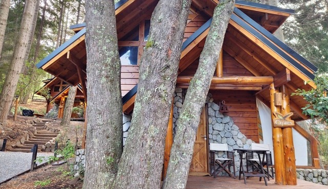 El Remanso - Cipres Cabin, Bahía Manzano