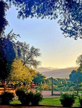 El Solar De Los Olivos