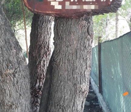 EL TALAR 1
