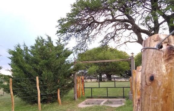 El Trébol Casa de Campo