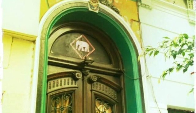 Elefante Rosa Hostel