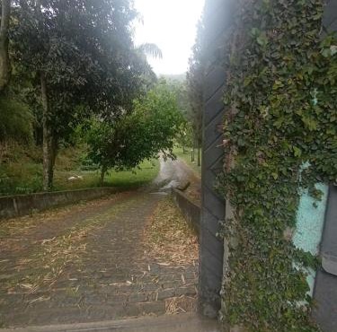 Estúdio Raiz da Mata