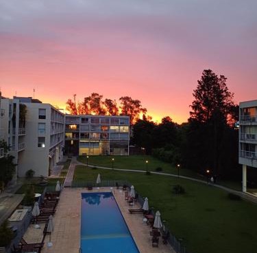 FerPilar Suite, Concord Pilar