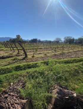 Finca La Dionisia