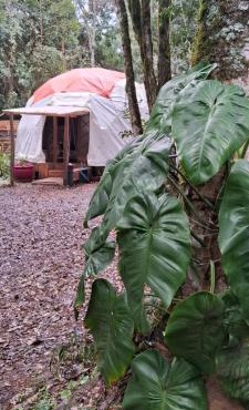 Geodésica - Quarto em meio a natureza - Caxias do Sul