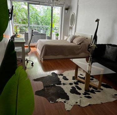 Hermoso Monoambiente en Belgrano Buenos Aires