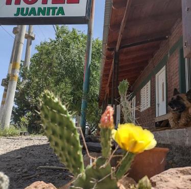 Hotel Juanita