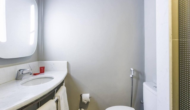 ibis Americana