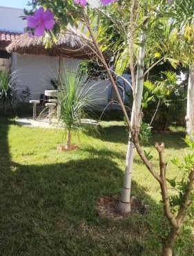 Jardim Secreto in Piauí
