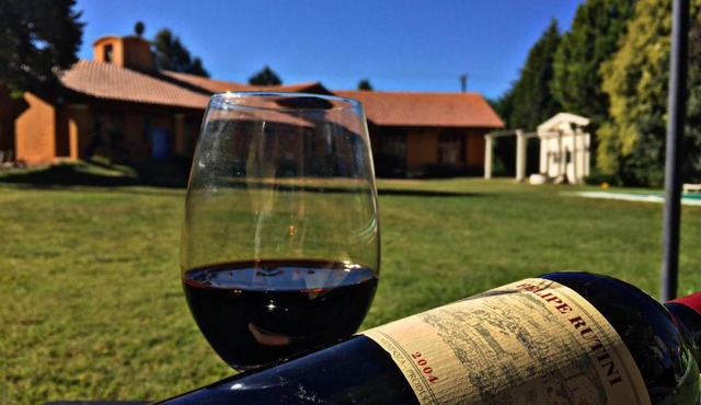 John’s Home on Wine Route in Ciudad Lujan de Cuyo