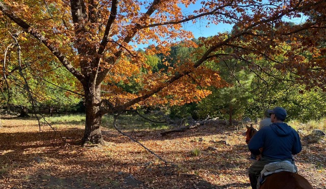 Kleines Landhaus in 25 Ha in den Bergen von Córdoba, im Herz Argentiniens
