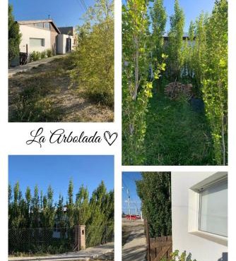 La Arbolada