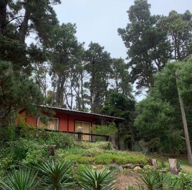 la casita del bosque
