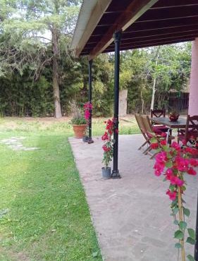 La Colorada, home for. La Amistad Polo